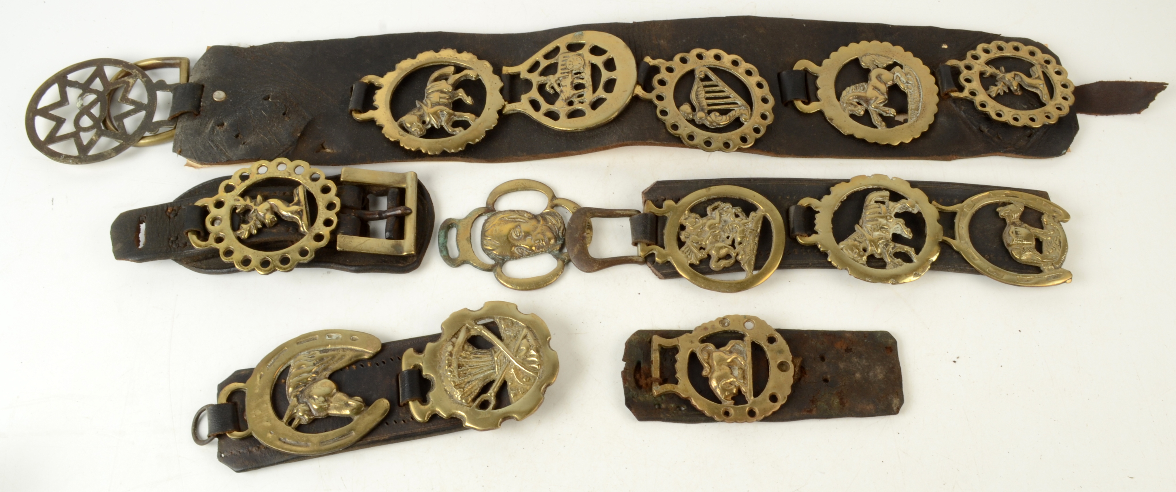 A selection of horse brasses on five leather straps.