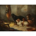 Attributed to George ARMFIELD (1808-1893) Four Spaniels Oil on board 14 x 19cm Condition
