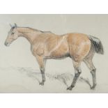 Basil NIGHTINGDALE (1864-1940) Three Horse Portraits Two watercolours and a print The larger