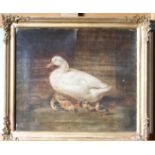 Victorian School A Duck and Chicks Oil on canvas 29 x 35cm