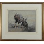 Kim DONALDSON (1952) Ibex Pastel Signed 23 x 29cm