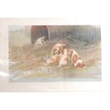 After Maud EARL Dogs Pair of prints Unframed 21.5 x 35.