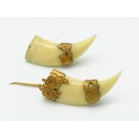 An early 20th century 18ct gold mounted Asian brooch mounted with ivory, imitating tiger claws.