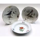 Two Meissen plates, 18th century, decorated with birds and insects, moulded borders,