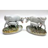 A pair of Staffordshire pottery cow and calf groups, early 20th century,