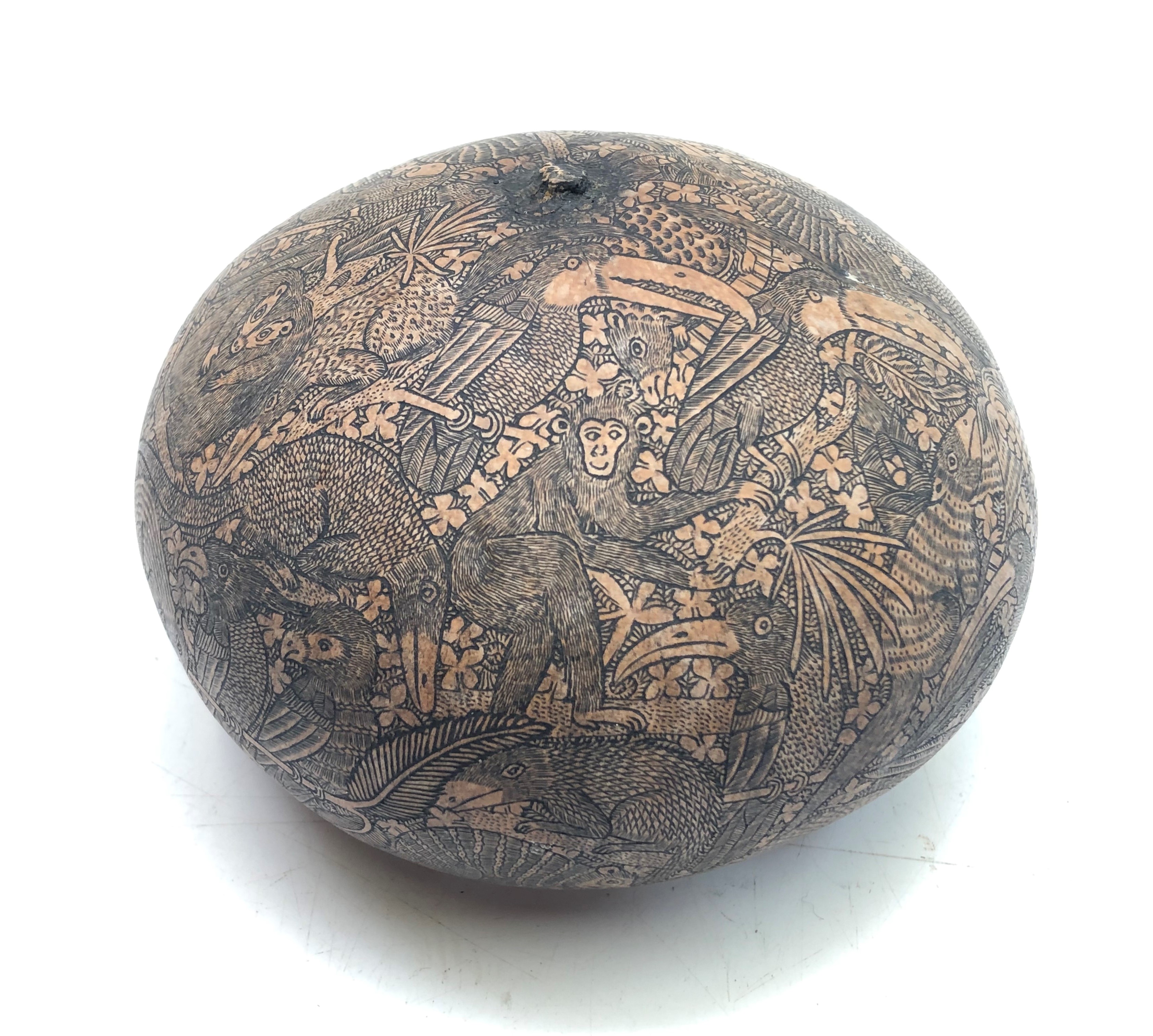 A South American finely carved gourd, decorated with jungle animals, birds and snakes, height 7.