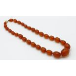 A string of graduated faceted amber beads with gold clasp 55.9g.