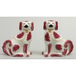 A pair of Victorian Staffordshire pottery spaniels, circa 1920, height 33cm, width 27cm.