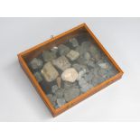 A collection of assorted fossils contained within a small wooden display cabinet, height 11cm,