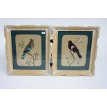 A pair of feather and watercolour bird pictures, framed and glazed, 63.5 X 53cm overall.