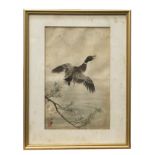 A Japanese watercolour of a flying duck, circa 1900, red seal and black character marks, 24.5 x 15.
