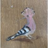 Nicola BEALING (b.1963) Spanish Hoopoe