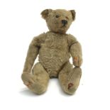 An early 20th century Steiff teddy bear, with golden mohair fur, swivel head with black boot