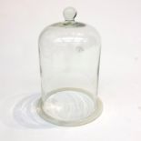 A glass bell jar. (Dimensions: Overall height 35cm.) (Qty: 1)(Overall height 35cm.)