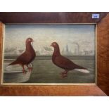 PETERSON Pigeons in a Landscape Oil on canvas Signed and dated 1890 (Dimensions: 33 x 50cm)(33 x