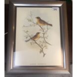 A pair of decorative ornithological prints. (Dimensions: 35 x 25cm.)(35 x 25cm.)