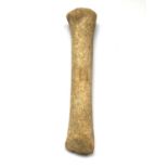 Upper Paleolithic, bone chisel, Bernard Brion, Reuffignac, Dordogne, 138g, 205mm.