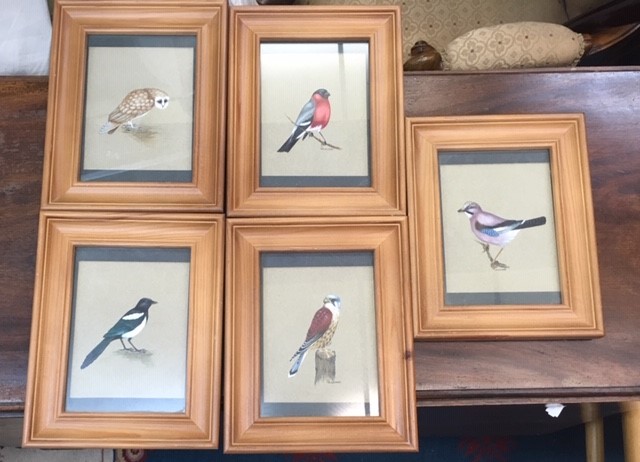 Fiona LUKES Five studies of birds Watercolour Signed