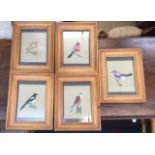 Fiona LUKES Five studies of birds Watercolour Signed