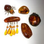 Five amber brooches, the largest 5.8 x 3.3cm.