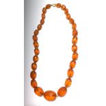 A graduated faceted amber bead necklace, length 57.5cm.