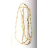 Three cultured pearl necklaces each with a gold clasp.