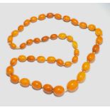 An amber necklace with graduated beads, the largest 23mm. 69gm.