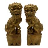 A pair of Continental porcelain gilt decorated Dogs of Foe. (Dimensions: Height 35cm, width