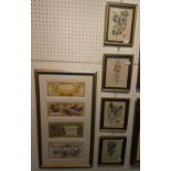 Four framed Victorian prints of flowers and a framed reproduction print of French perfume