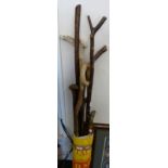 A collection of walking sticks and staffs including one with a frog handle