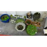 A selection of garden pots and troughs. This includes a glazed planter, storm planters, bird bath,