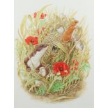 Richard W Orr, gouache, signed, study of harvest mice, 38cm by 28cm