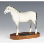 A Beswick Connoisseur figure Arab Bahram, dapple grey, matt finish, raised on a wooden base