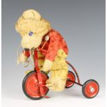 A pull along model of a bear on a tricycle There is some wear to the nose of the bear