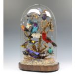 T M Williams of 155 Oxford Street, a Victorian arrangement of 14 exotic birds and 2 moths mounted on