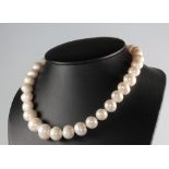 A string of cultured pearls with a silver magnetic clasp 43cm