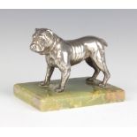 An Art Deco chromium plated paperweight in the form of a standing bulldog, raised on a rectangular