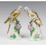 A pair of Sampson figures of budgerigars sitting on floral encrusted tree stumps 17cm Both have