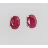 A pair of oval treated ruby ear studs