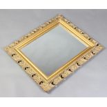 A rectangular plate wall mirror contained in a pierced gilt frame 71cm h x 60cm w