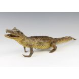 Taxidermy, a stuffed and mounted crocodile 5cm h x 54cm l x 7cm w There is some damage to the end of