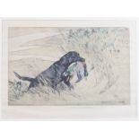 G Vernon Stokes, a coloured print, signed in pencil no.46/75, hunting dog with duck 23cm x 31cm