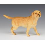 A Royal Doulton figure of a Golden Retriever, matt finish, 13cm