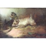 G Arnfield, oil on canvas, "The Rat Trap" depicting 2 terriers 14cm x 21cm