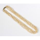 A 5 strand freshwater pearl necklace with silver gilt clasp