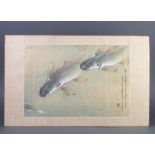 Chinese watercolour, study of carp with script, unframed 42cm x 28cm