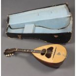 A Giuseppe Vinaccia mandolin no. 466