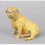 An Austrian style bronze figure of a seated pug 9cm x 6cm x 5cm