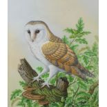 Richard W Orr, gouache signed, study of an owl 33cm x 28cm