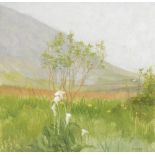 July, Slieve Mor by Barbara Warren